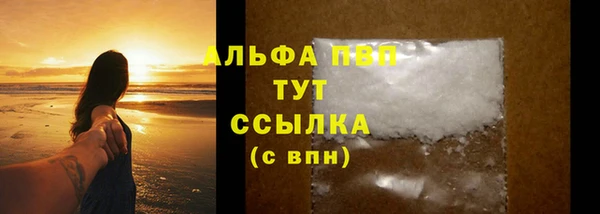 гашик Абаза
