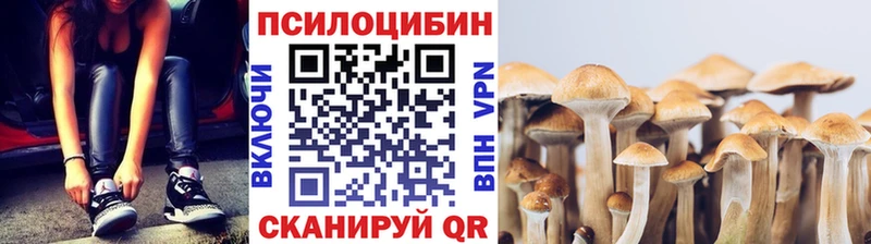 Галлюциногенные грибы MAGIC MUSHROOMS  Краснозаводск 